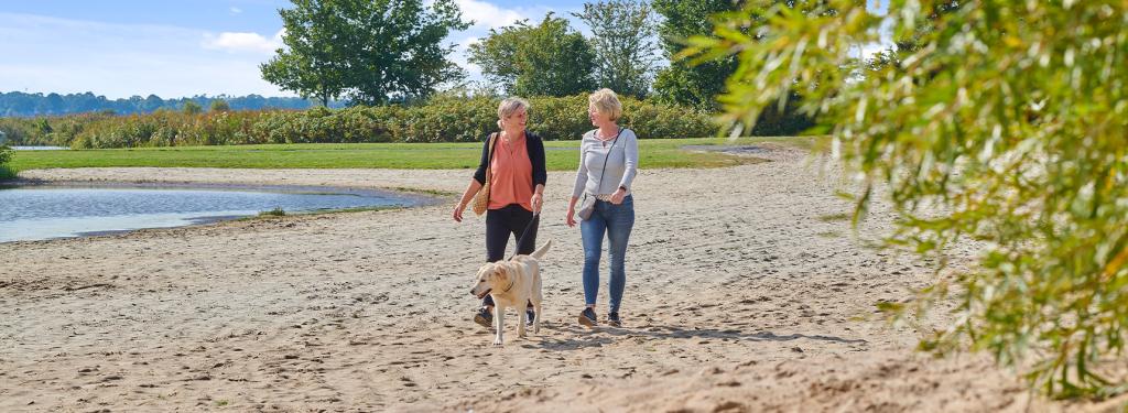 Balade au bord du lac au camping de Meerwijck aux Pays-Bas